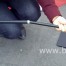 Fly banner Assembly pole